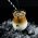 Ice Cappuccino - Цена: 1390